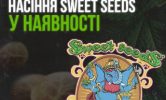 Внимание! Пополнение семян Sweet Seeds!